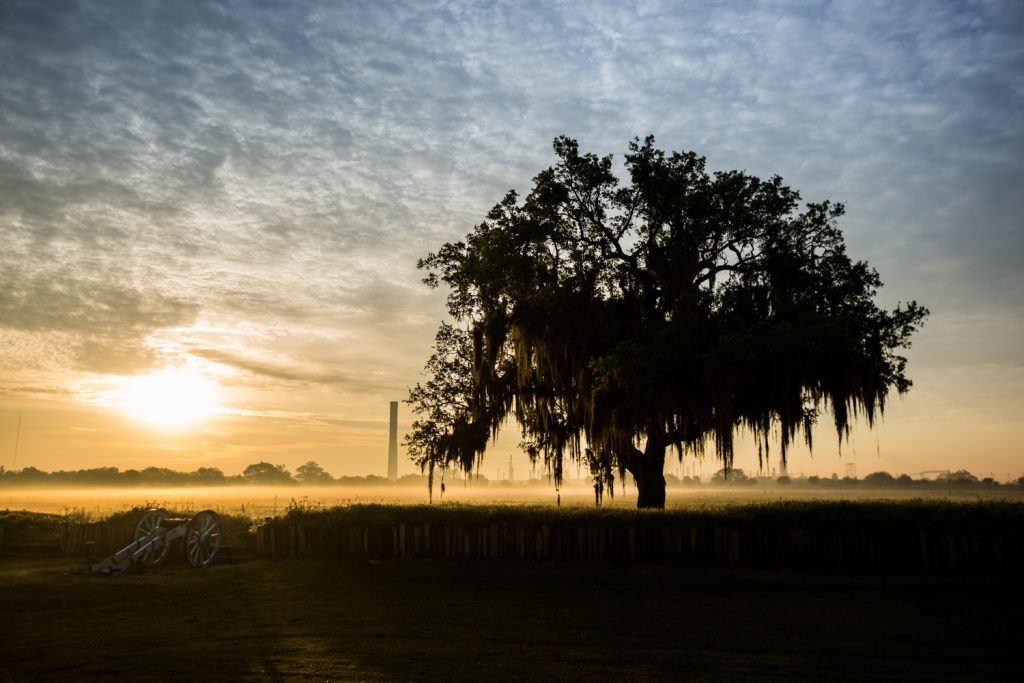 Photograph by Zack Smith.