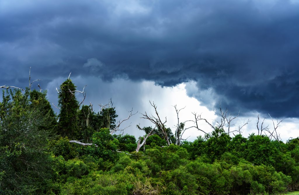 Photograph by Zack Smith.